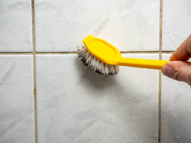 Best Professional Mold Removal  in Baldwin, NY