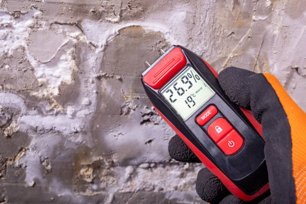 Best Attic Mold Removal  in Baldwin, NY