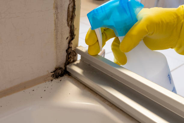 Best Mold Testing  in Baldwin, NY