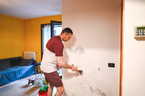 Best Residential Mold Removal  in Baldwin, NY